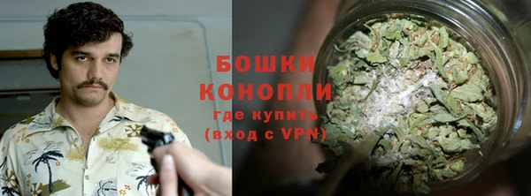 бутират Гусь-Хрустальный