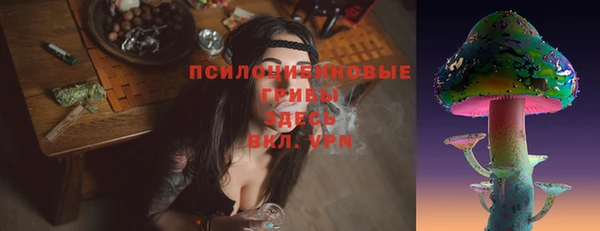 бутират Гусь-Хрустальный