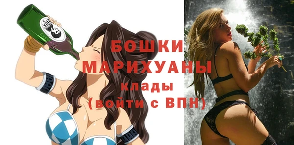 бутират Гусь-Хрустальный