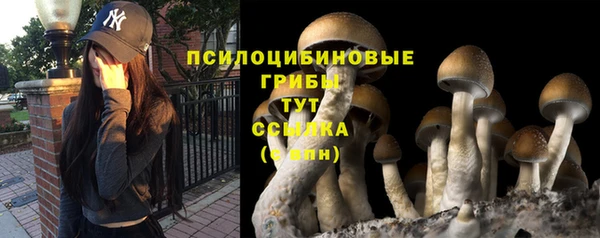 метадон Гусиноозёрск