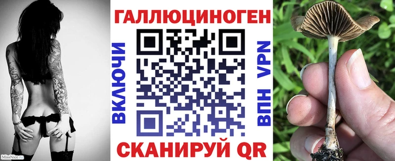Купить закладки Карабаш Псилоцибиновые грибы мухоморы