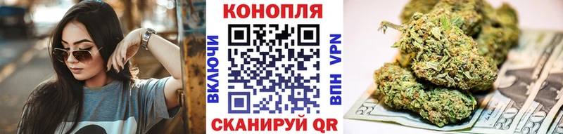 Канабис сатива Карабаш