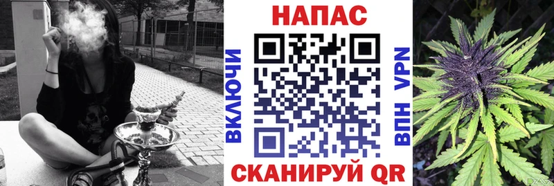 Купить  Карабаш  Бошки Шишки MAZAR 